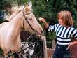 Joanne stroking horse